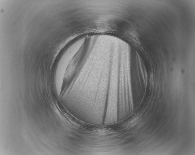 X0000053150540200508012312