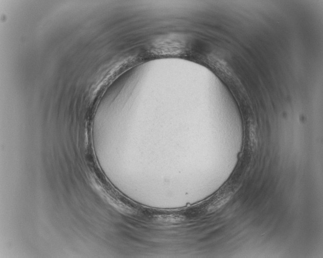 X0000053150541200508012312