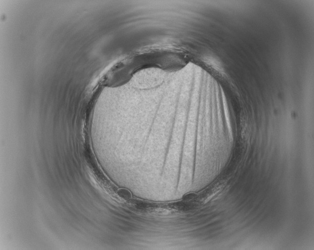 X0000053150542200508012312