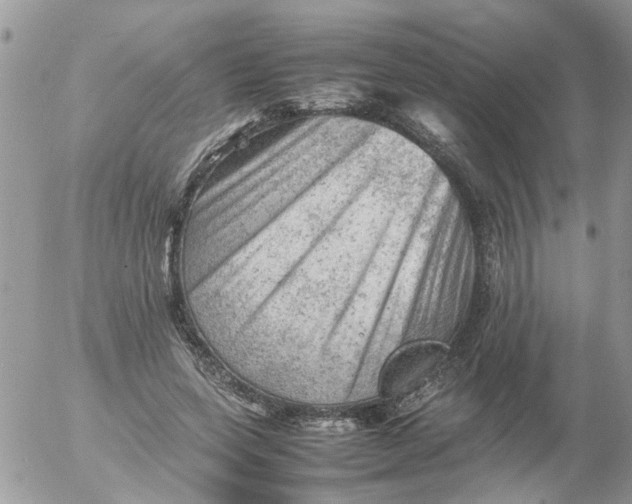 X0000053150543200508012312