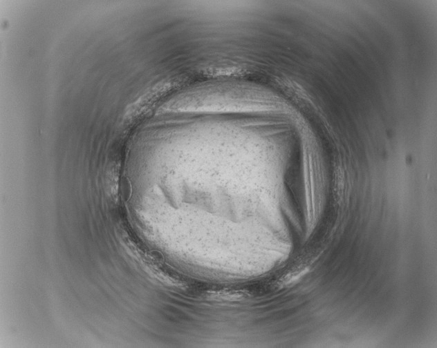 X0000053150545200508012312