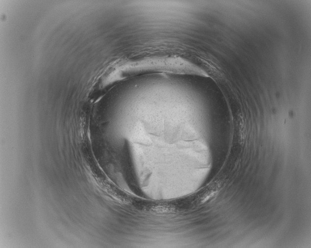 X0000053150546200508012312