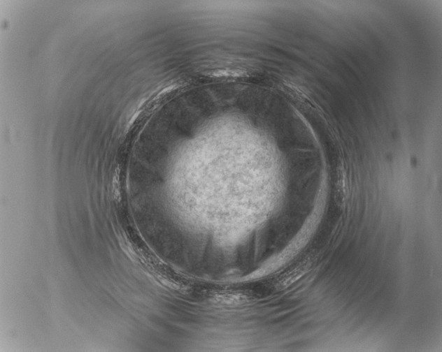 X0000053150547200508012312