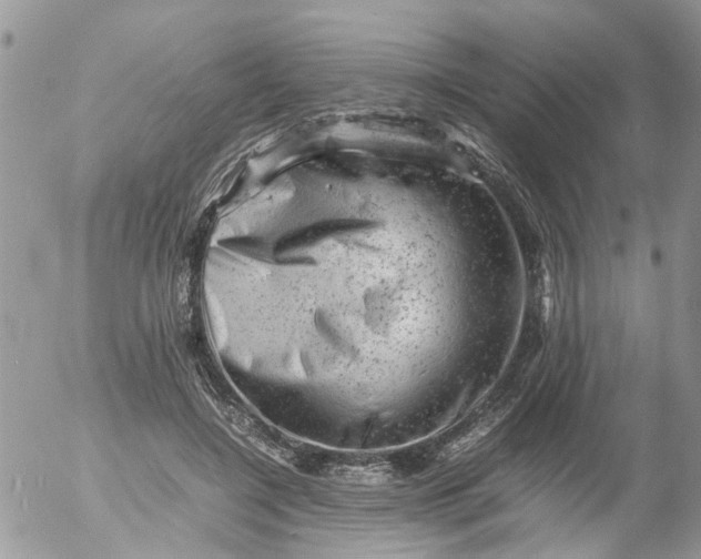 X0000053150548200508012312