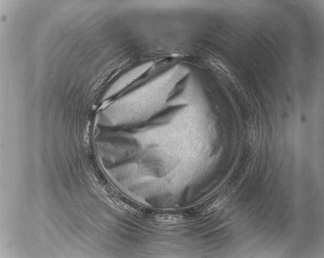 X0000053150549200508012312