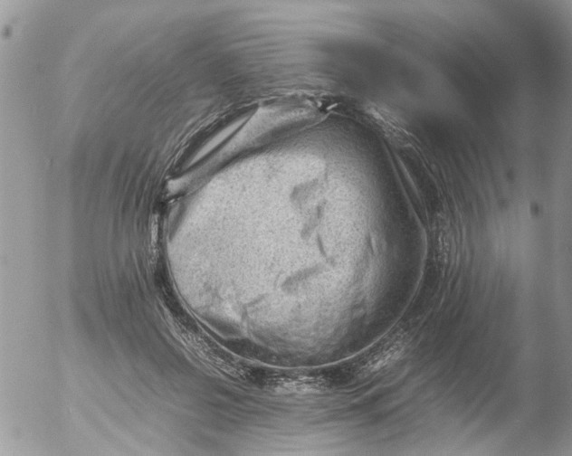 X0000053150550200508012312