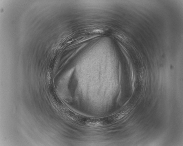 X0000053150551200508012312