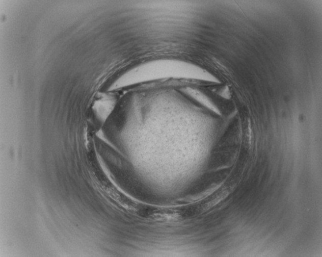 X0000053150552200508012312