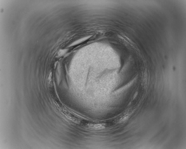 X0000053150553200508012312