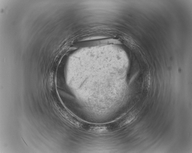 X0000053150554200508012312