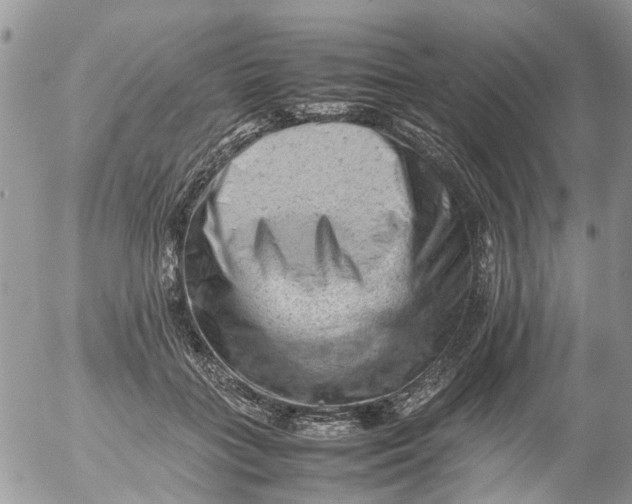 X0000053150555200508012312