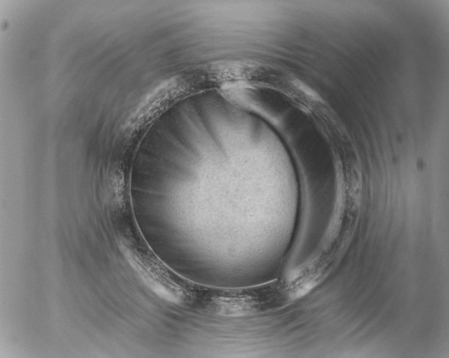 X0000053150556200508012312