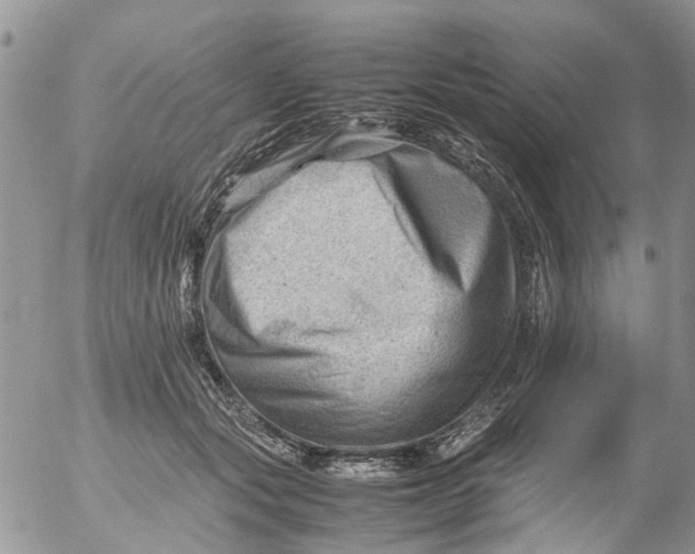 X0000053150557200508012312