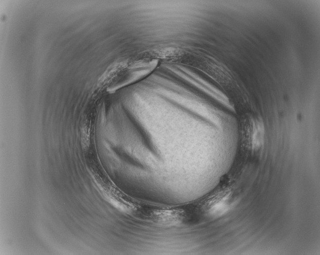 X0000053150558200508012312