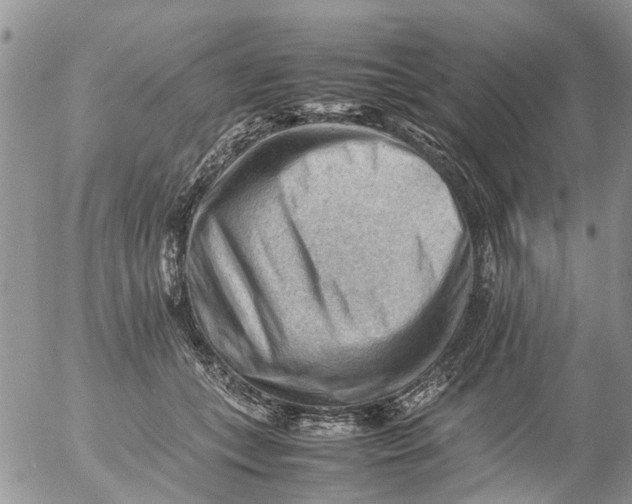 X0000053150559200508012312