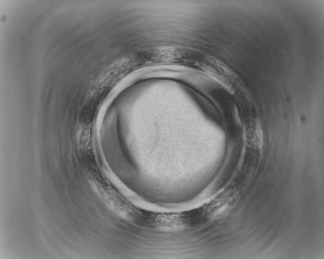 X0000053150560200508012313