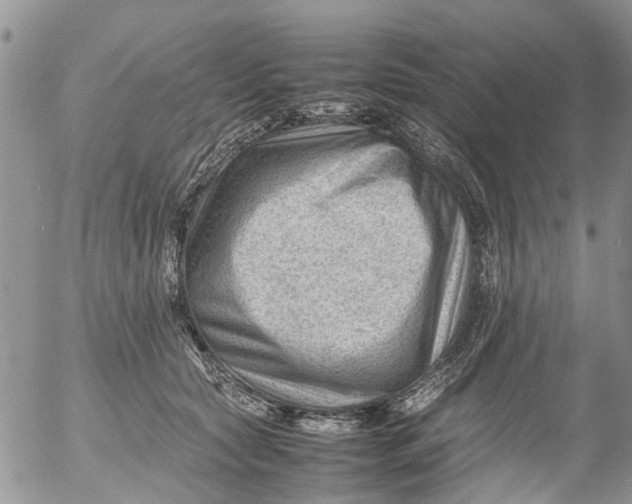 X0000053150561200508012313