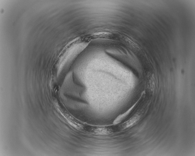 X0000053150562200508012313