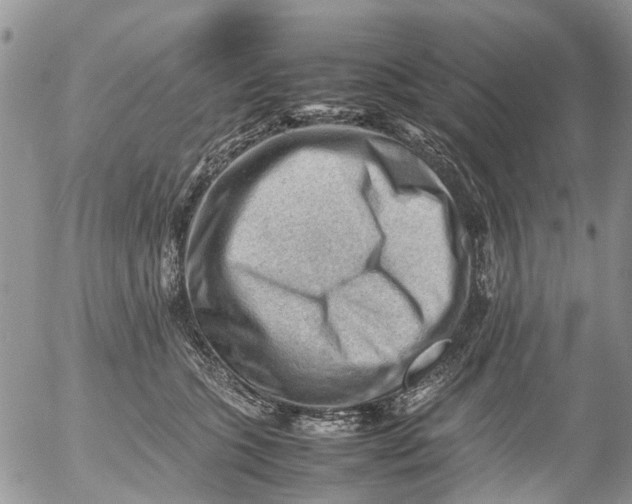 X0000053150563200508012313