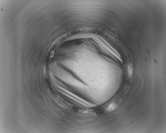 X0000053150564200508012313