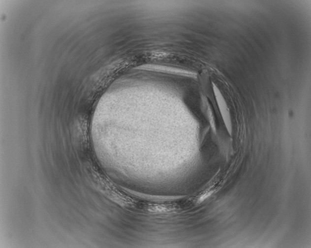 X0000053150565200508012313