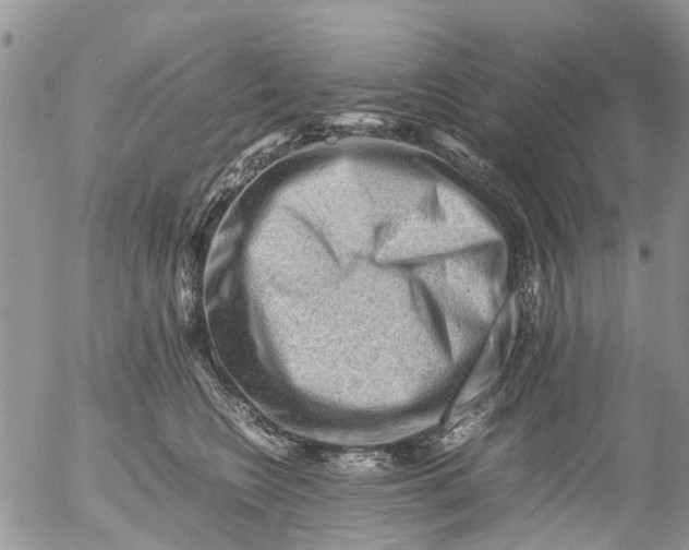 X0000053150566200508012313