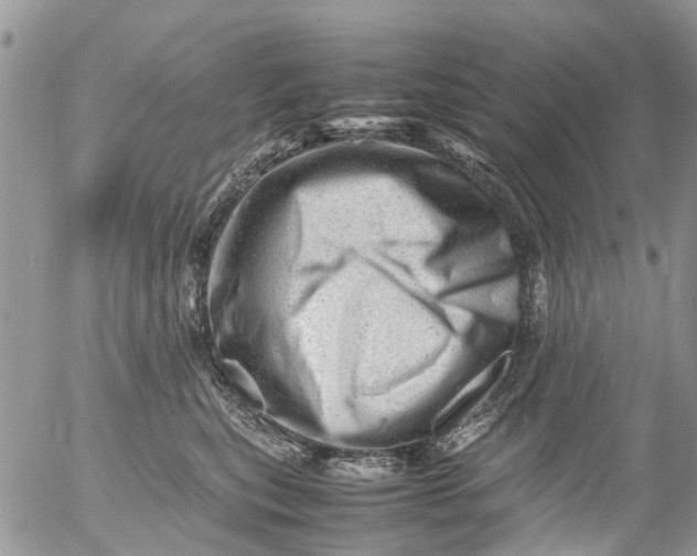 X0000053150567200508012313