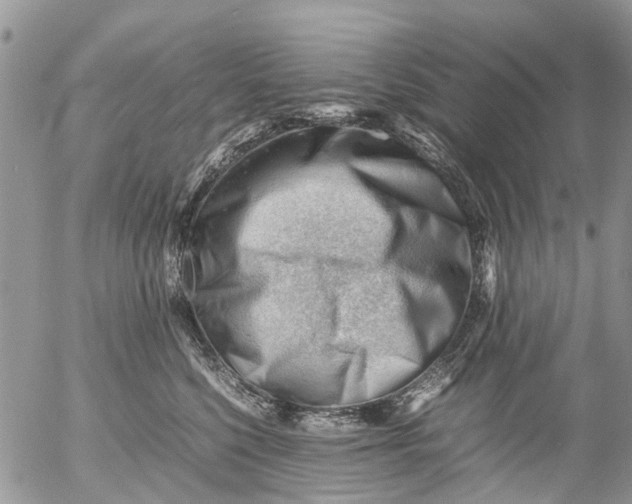 X0000053150568200508012313