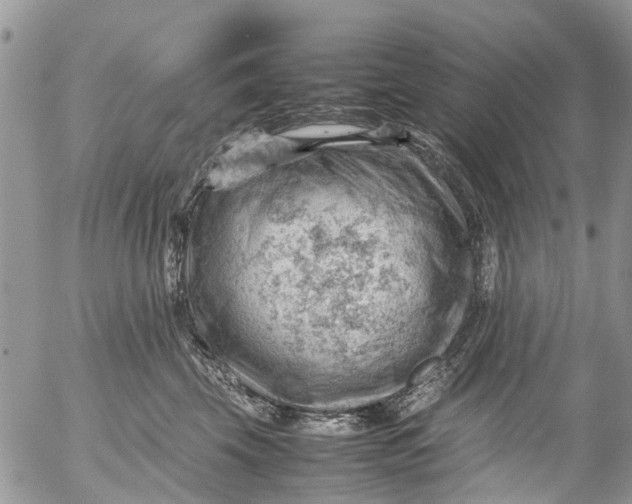 X0000053150569200508012313