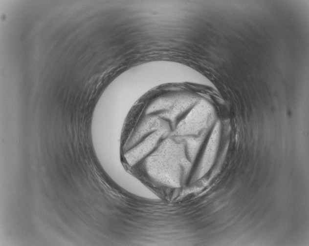 X0000053150570200508012313