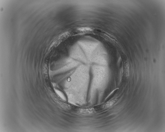 X0000053150571200508012313