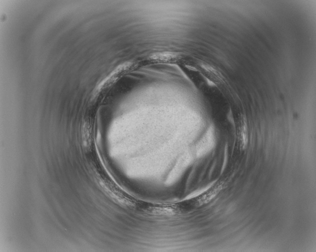 X0000053150572200508012313