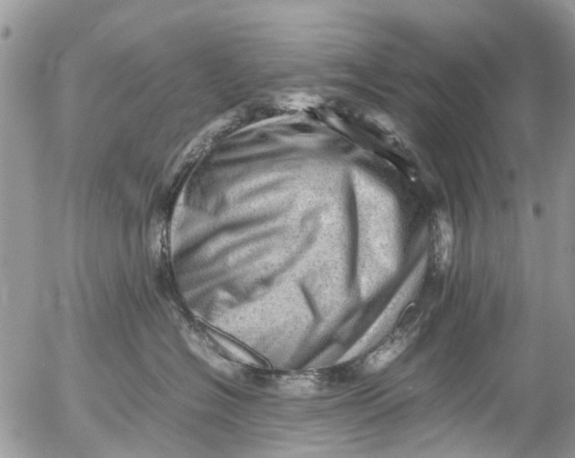 X0000053150574200508012313