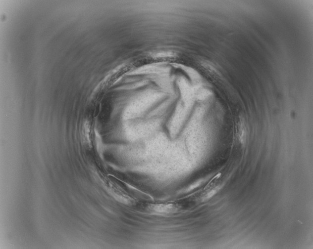 X0000053150575200508012313