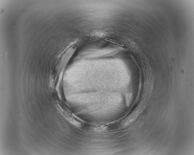 X0000053150576200508012313