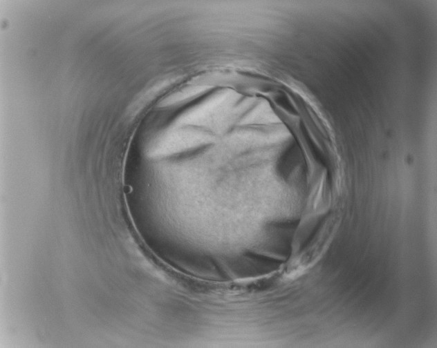 X0000053150577200508012312