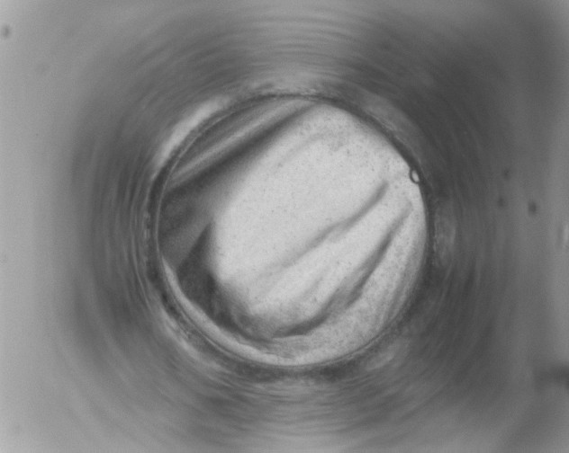 X0000053150578200508012312