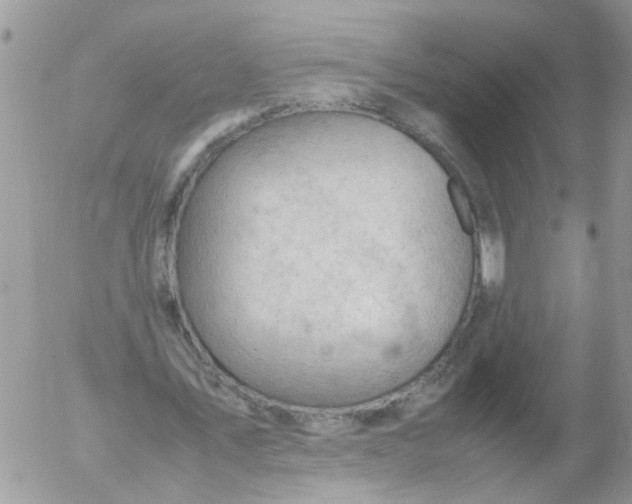 X0000053150579200508012312