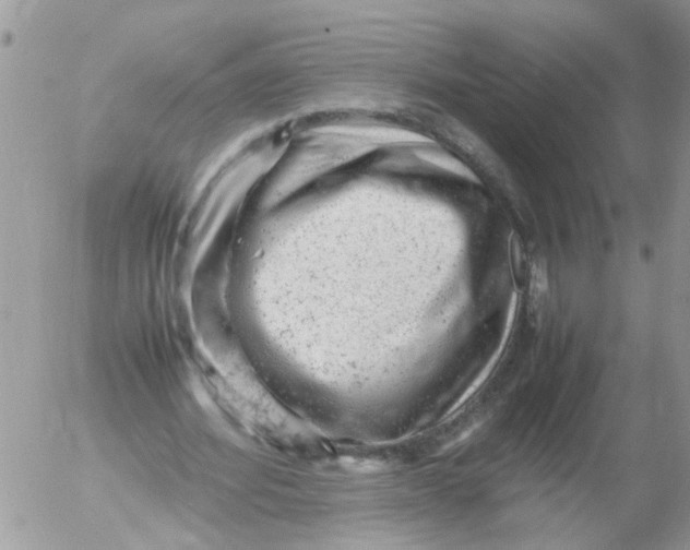 X0000053150580200508012312