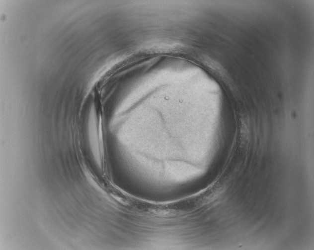 X0000053150582200508012312