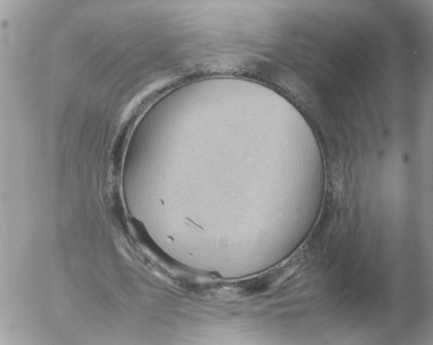 X0000053150583200508012312