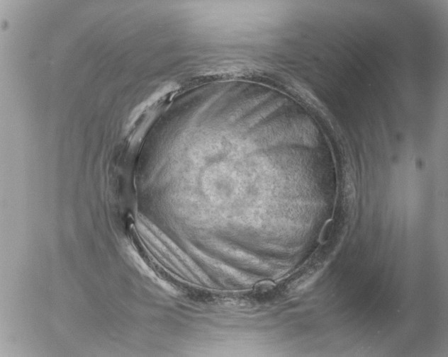 X0000053150585200508012312