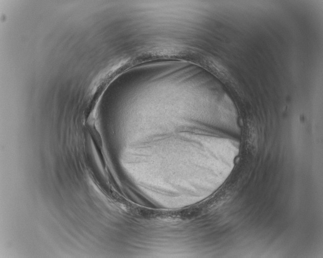 X0000053150586200508012312