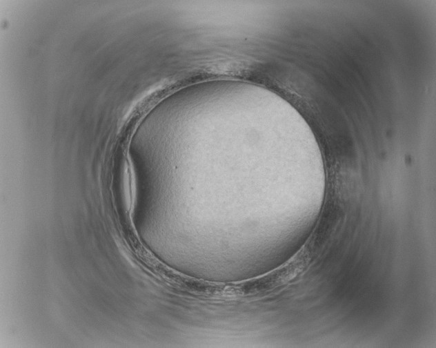 X0000053150587200508012312