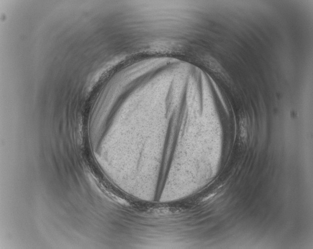 X0000053150588200508012312