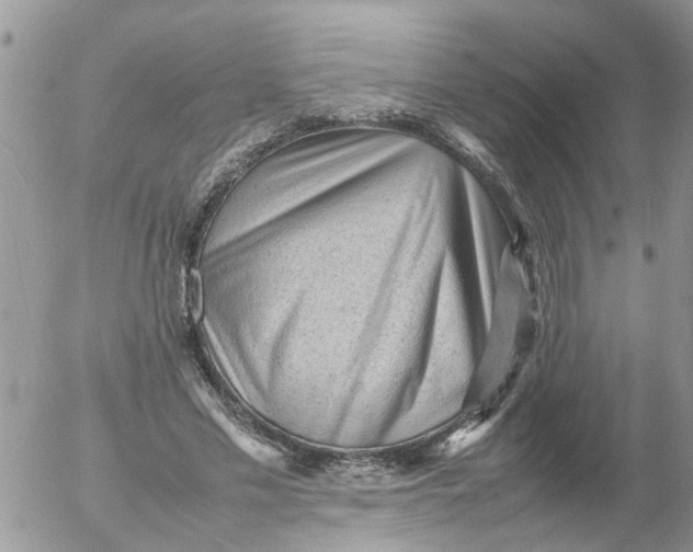 X0000053150589200508012312