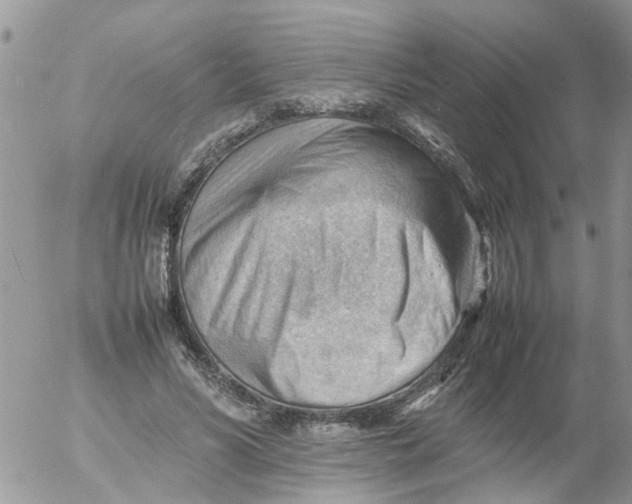 X0000053150590200508012312