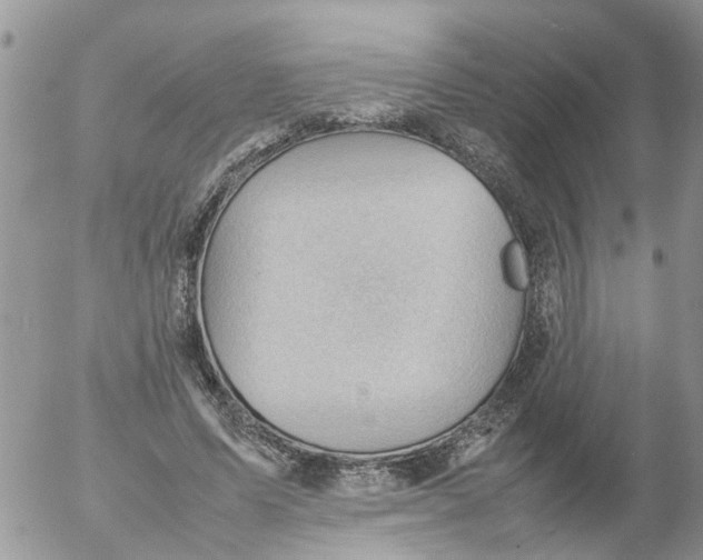 X0000053150591200508012312