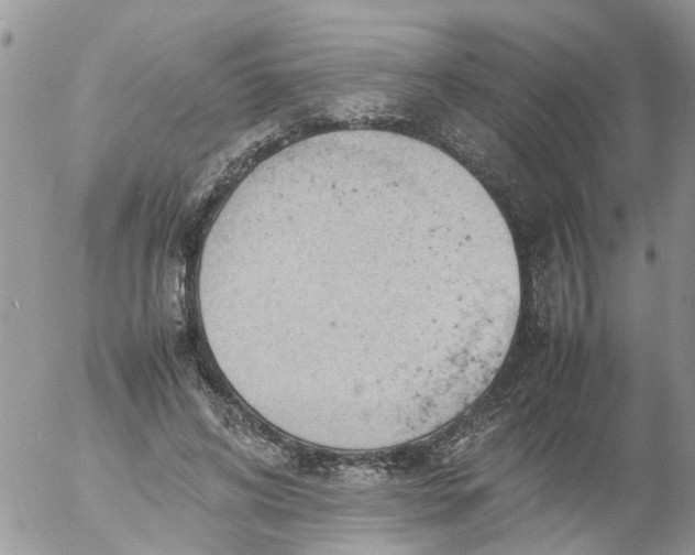 X0000053150592200508012312