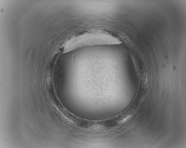 X0000053150593200508012312